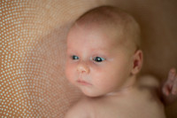 Samuel Paxton Bowling Newborn Pictures